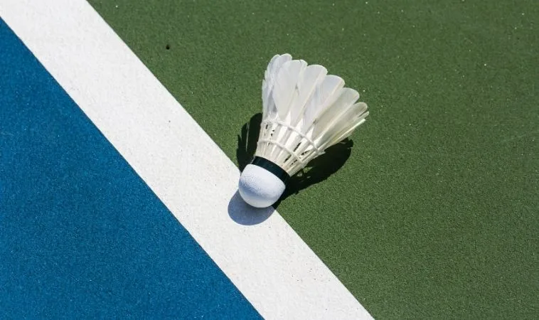 Cầu Lông tại OnBet