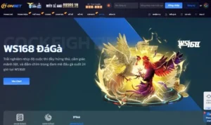 Đá Gà WS168 Tại OnBet