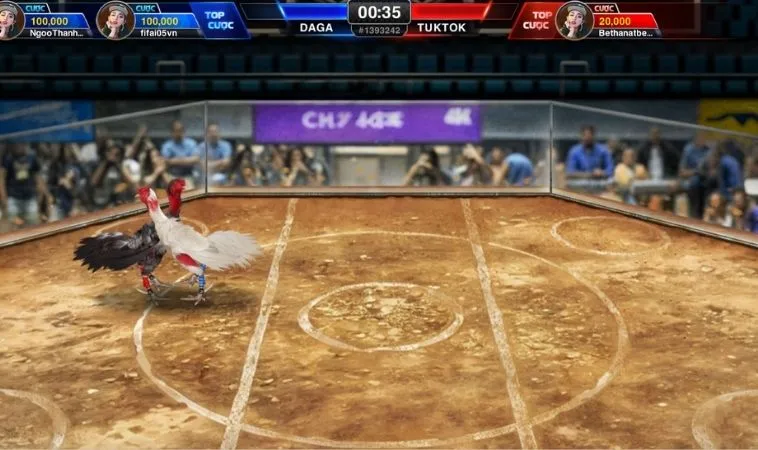 Đá Gà 3D Tại OnBet