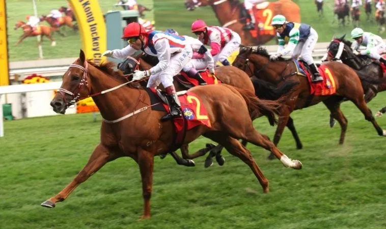 Cần tìm hiểu kỹ về ngựa chiến trước khi cá cược